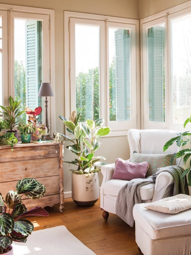 decora con plantas