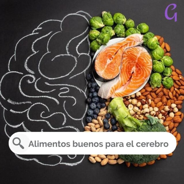 4 Buenos Alimentos Para El Cerebro. - Guía Femenina